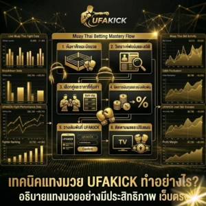 เทคนิคแทงมวย UFAKICK